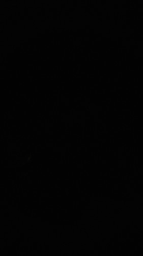 1686837463128219034651.jpg