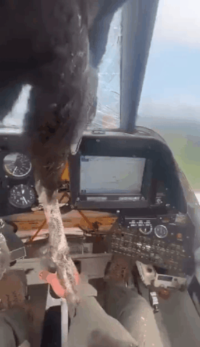 GIF 230616 191707.gif
