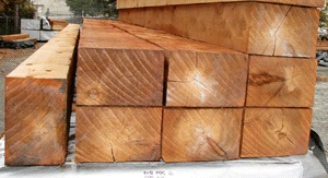 5 Cedar Wood.jpg