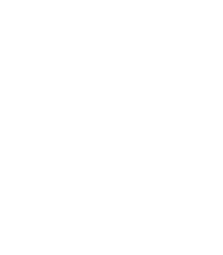 47070831 ds.png