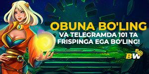300x150 (48).png