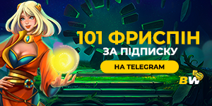 300x150 (47).png