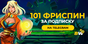 300x150 (46).png