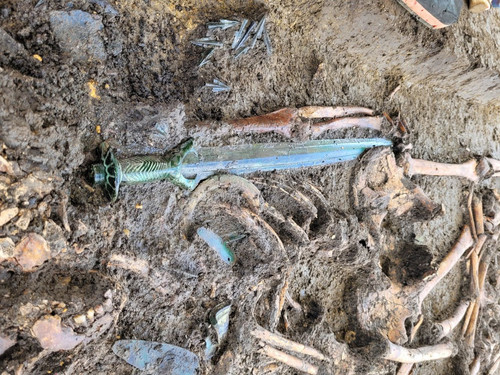 230616123456 03 bronze age sword germany.jpg