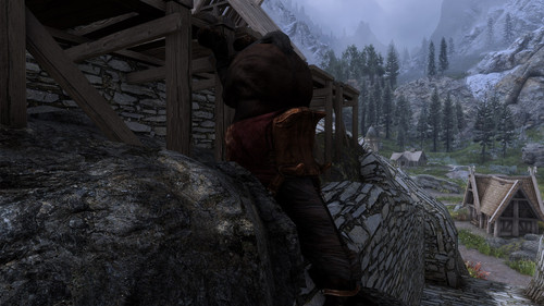 Stupid Horse.jpg