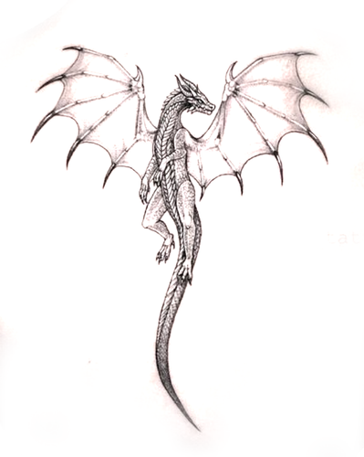 IMG 20230618 160834.png