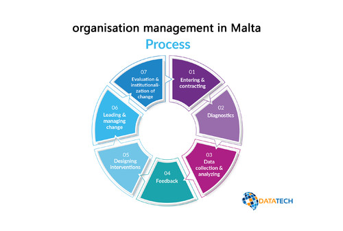 Organisation Management in Malta and Libya.jpg