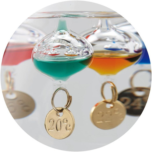 WhatsApp Image 2023 06 13 at 9.14.17 PM (1).jpg