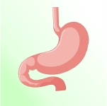 Ease Digestion.webp