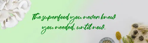 Banner.webp