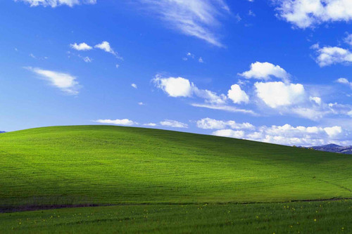 81e64e767999.jpg
