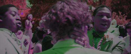 f835a4155c61.png