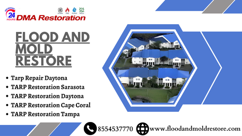 Flood and Mold Restore1.png