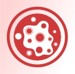 Reduces inflammatio.webp