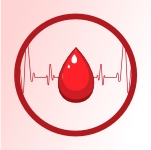 Improves blood flow.webp