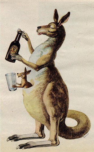 IMG 6243.jpg