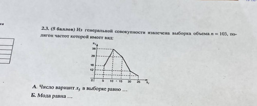 file 392.jpg