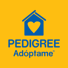 pedigree.png
