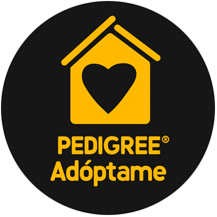 logo pedigree adopta 15480cdc.png