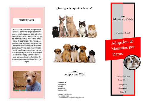 page 1.jpg