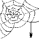 spiderweb.png