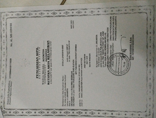 scaled 2051b64d 864c 41b8 85da 7690f71e0e7c7749875029339677424.jpg