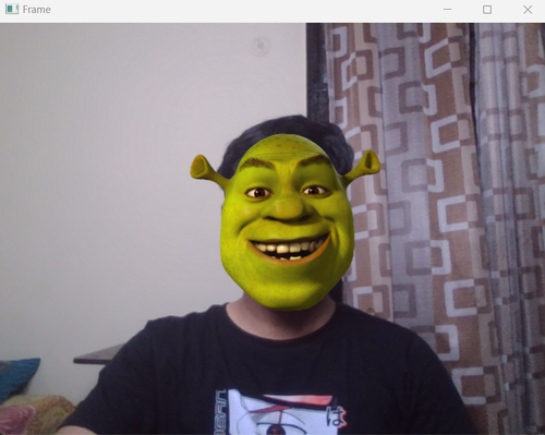 Funny Shrek.png