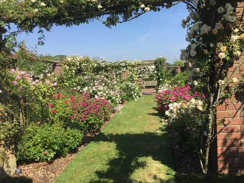 8F12F24B 2490 4B38 A4F4 CF6669D96995.jpg