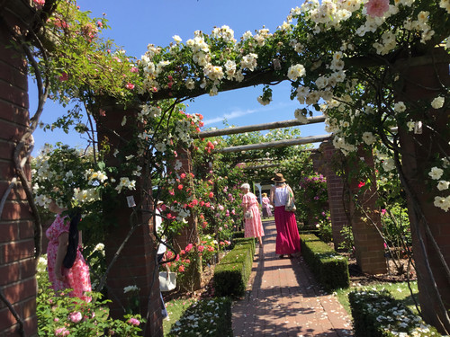 669ADD8A 77D2 4D2E A332 9FEBE3E233BB.jpg