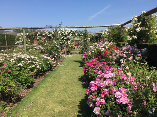 016C3E9E 5E4A 4DAF 925E 9A9B32F72FE6.jpg