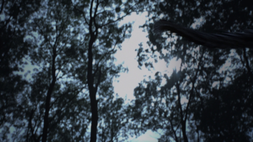 af92e04888d0.png