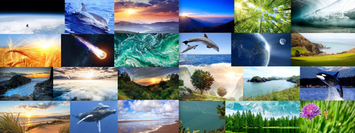 ' Glorified is The Mighty-Creator '.jpg