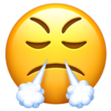 face with steam from nose