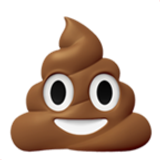 pile of poo