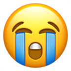 loudly crying face.png