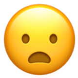 frowning face with open mouth
