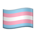 trans flag.png