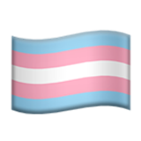 trans flag