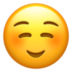 smiling face.png