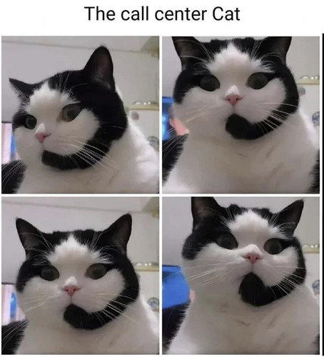 348681871 266950089032698 7929499321327770560 n.jpg