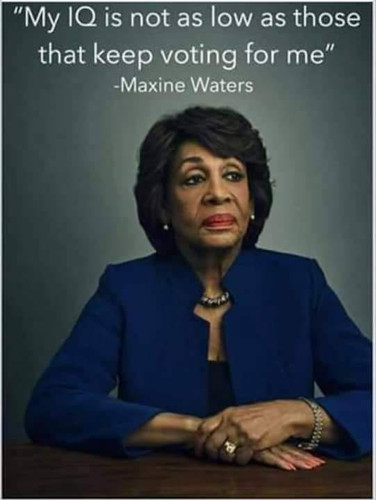 WATTERS IQ.jpg