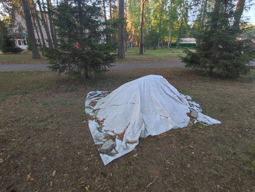 IMG 20230611 202002.jpg