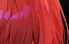 11.png