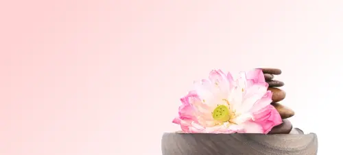05.webp