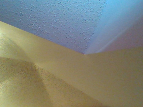 IMG 20230612 125552.jpg