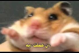 تنزيل (7).jpg