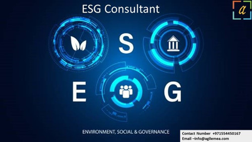 ESG Consultant 21.jpg