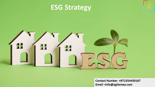 ESG Strategy 14.jpg