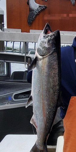 Screenshot 20230612 112743 Gallery