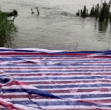 看我给你表演个三分.gif